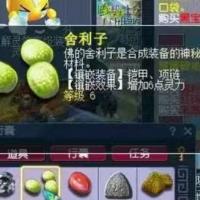 舍利子 | 等级6 |