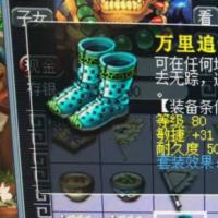 万里追云履｜等级80｜耐久度500